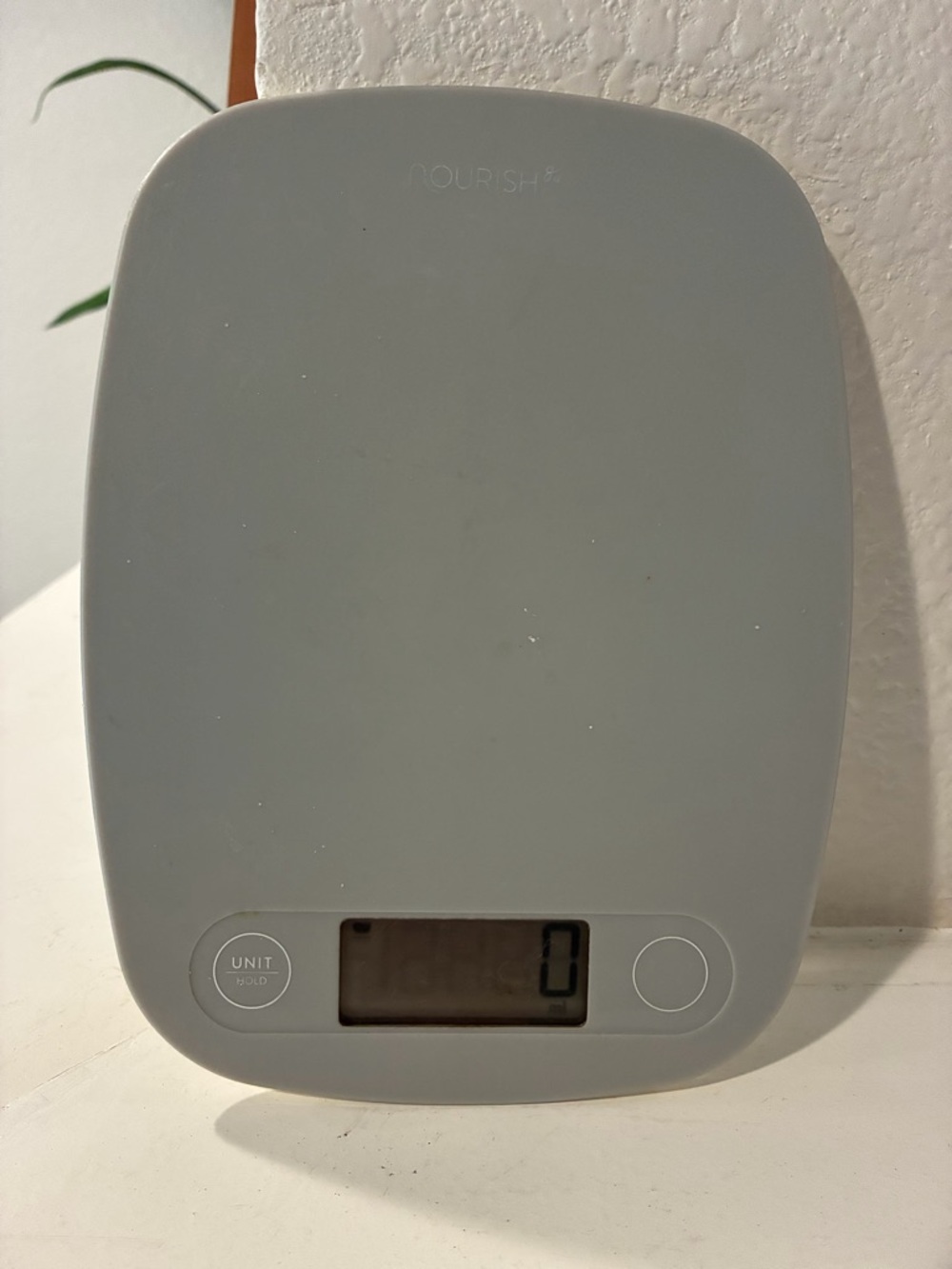 Greater Goods Kitchen Scale Model Number: 0480